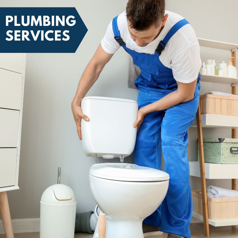 Plumbing Company in Onsted, MI